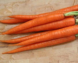 350px-CarrotRoots